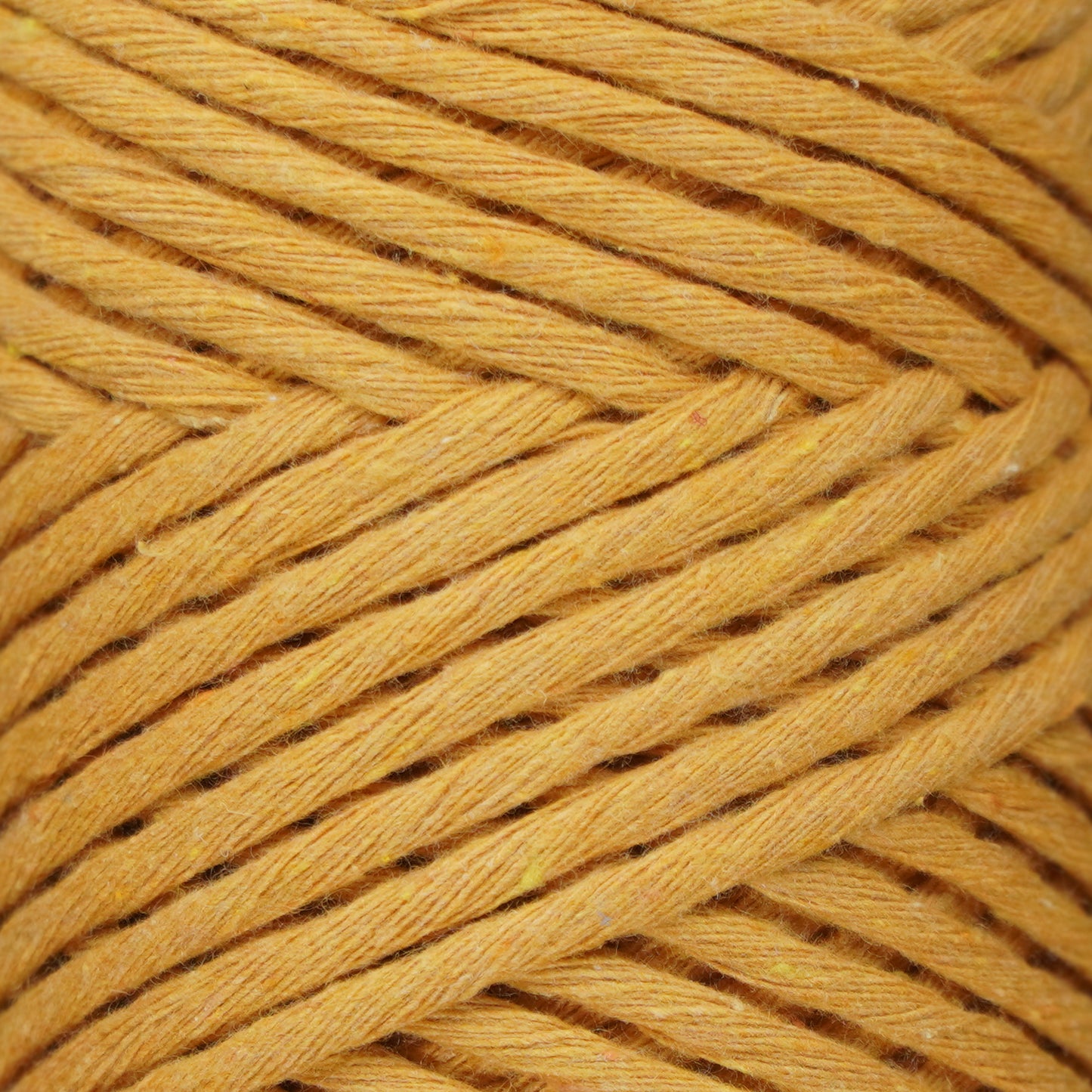 Single Strand Macrame Cord 3 mm x 109 Yards (328 feet) - Mustard